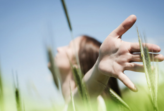 Hypnologikum Einzelseminar Bremen web